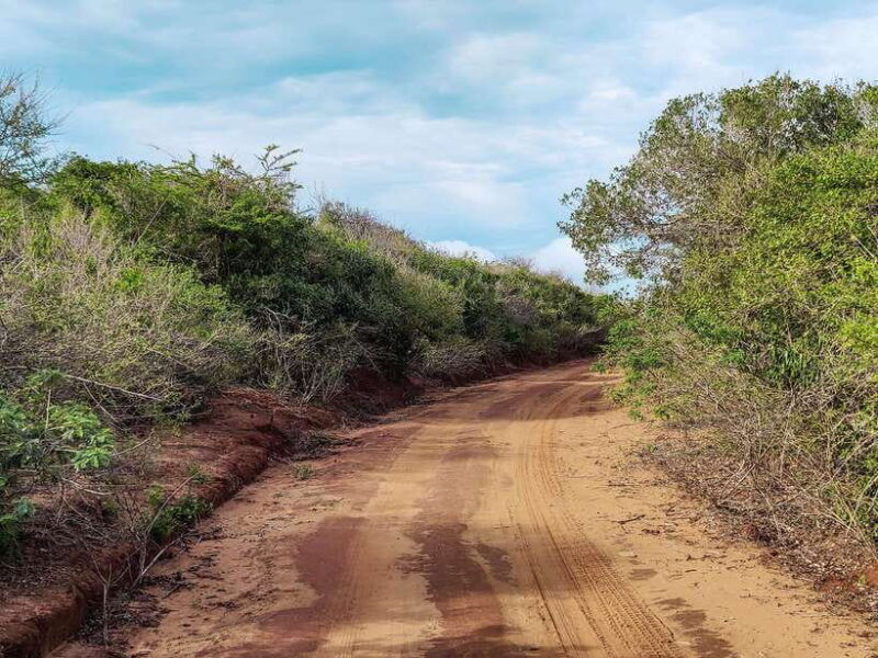 bundala-national-park-private-safari-from-tangalle
