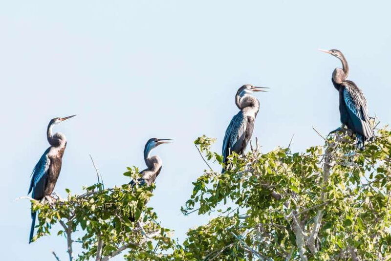 bundala-national-park-private-safari-from-tangalle