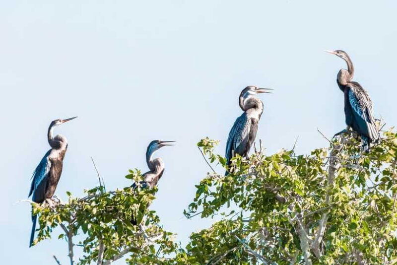 bundala-national-park-private-safari-from-tangalle