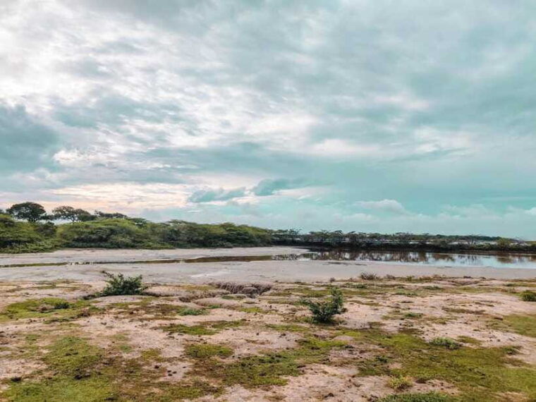 bundala-national-park-private-safari-from-tangalle