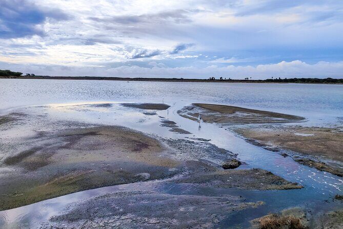 Bundala National Park Safari from Dikwella - A Closer Look at the Tour Itinerary