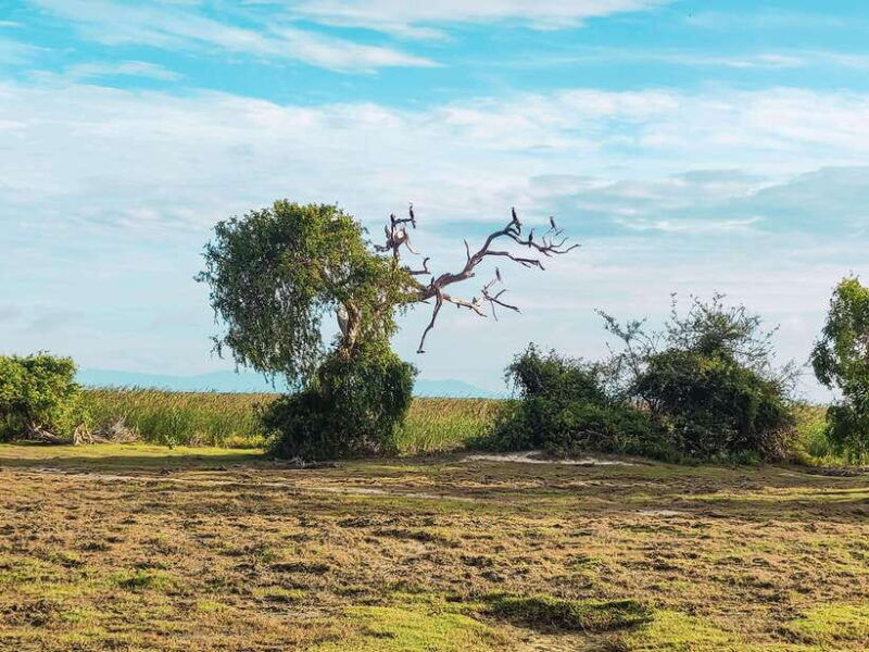 bundala-national-park-safari-from-hikkaduwa