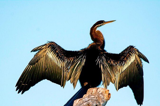 Bundala National Park Safari from Tangalle - In-Depth Breakdown of the Itinerary