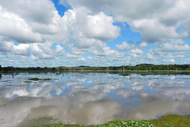 Bundala National Park : Safari Tour with Entrance tickets & Jeep - The Value of This Experience