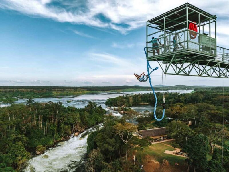 Bungee jumping over the River Nile tour - The Sum Up