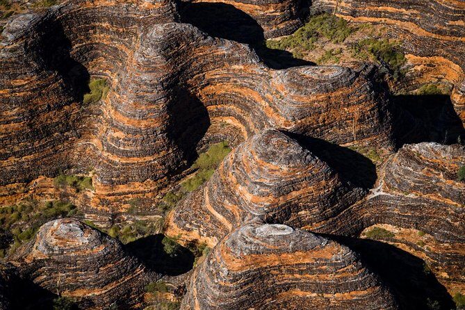 Bungle Bungle Scenic Flights, Domes & Cathedral Gorge Walk - Who Will Love This Tour?