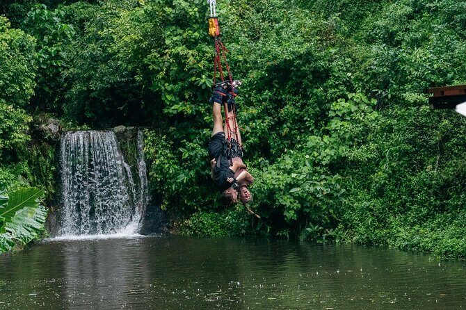 Bungy Jump Experience at Skypark Cairns by AJ Hackett - What Makes the Skypark Cairns Bungy Special?