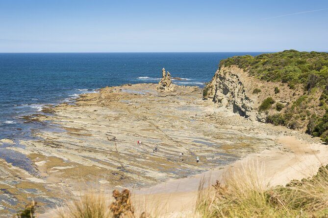 Bunurong Coast and Penguin Parade Private Tour - An In-Depth Look at the Bunurong Coast & Penguin Parade Tour
