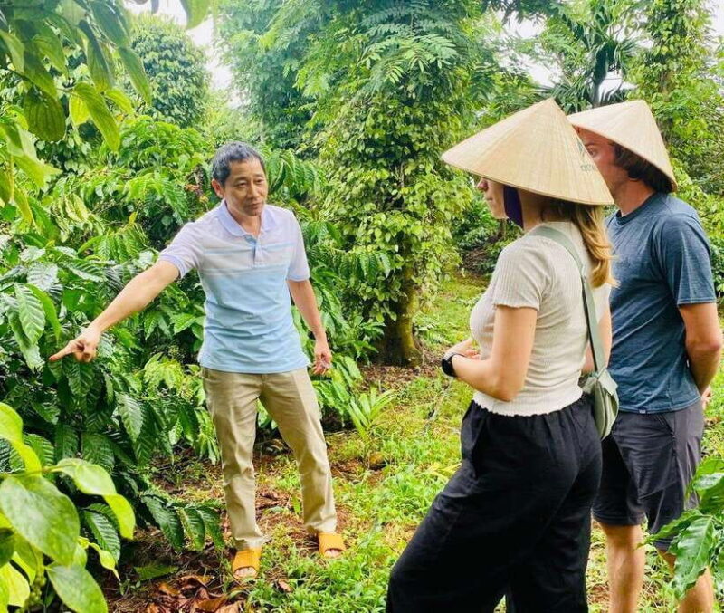 Buon Ma Thuot: Bean to Brew Coffee Farm Tour with Tasting - Practical Tips for Travelers