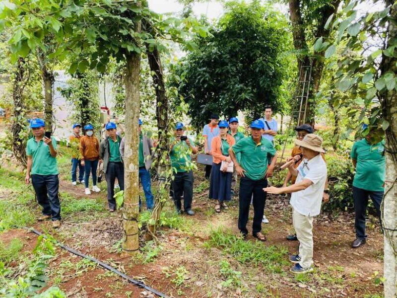 Buon Ma Thuot: Bean to Brew Coffee Farm Tour with Tasting - Who Would Love This Tour?
