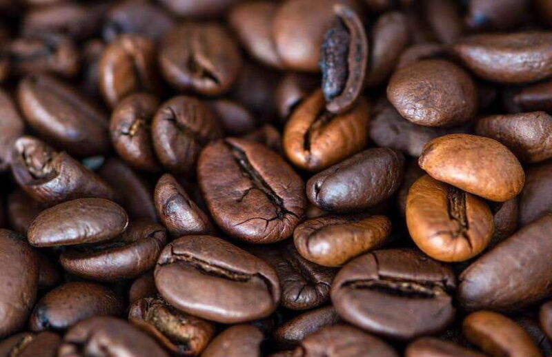 buon-ma-thuot-specialty-coffee-tour-and-brewing-experience