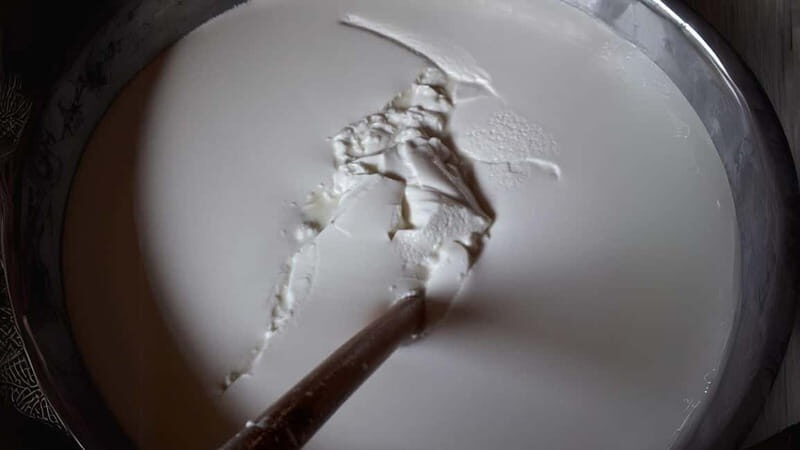 Burgos: Sardinian pecorino cheese workshop - Who Would Love This Experience?