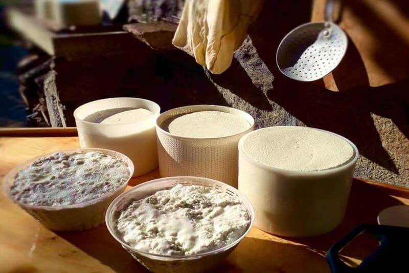Burgos: Sardinian Pecorino Cheese Workshop - Key Points