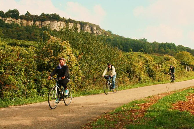 burgundy-bike-tour-with-wine-tasting-from-beaune