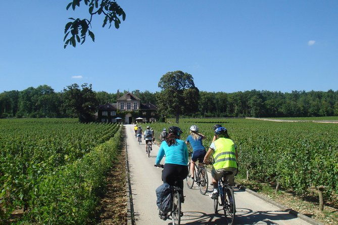 burgundy-bike-tour-with-wine-tasting-from-beaune