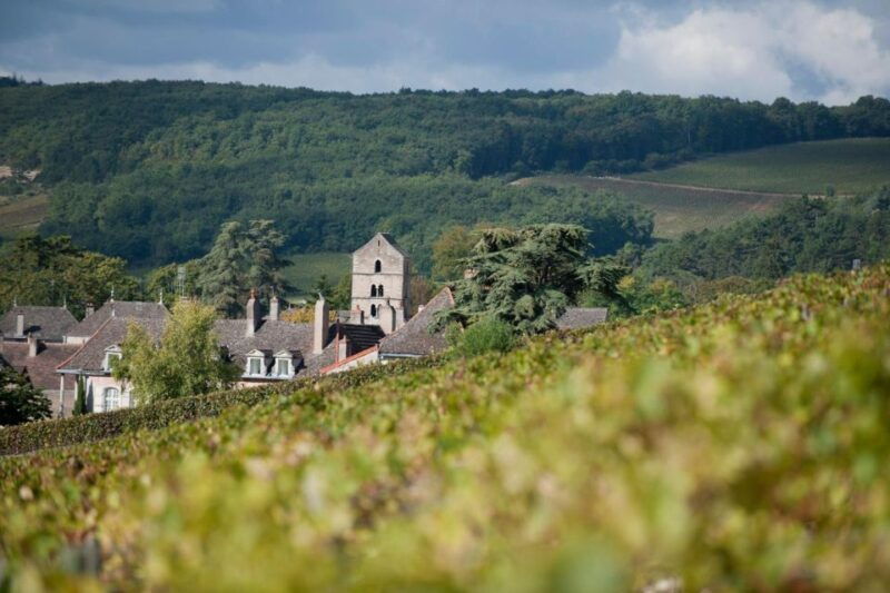 burgundy-guided-vineyard-and-winery-tour-with-wine-tasting