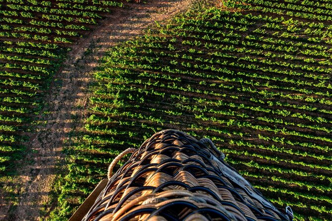 burgundy-hot-air-balloon-ride-from-beaune