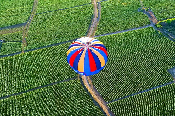 burgundy-hot-air-balloon-ride-from-beaune