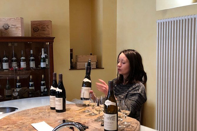 burgundy-unique-wine-tour-from-paris-day-trip-by-tgv-high-speed-train