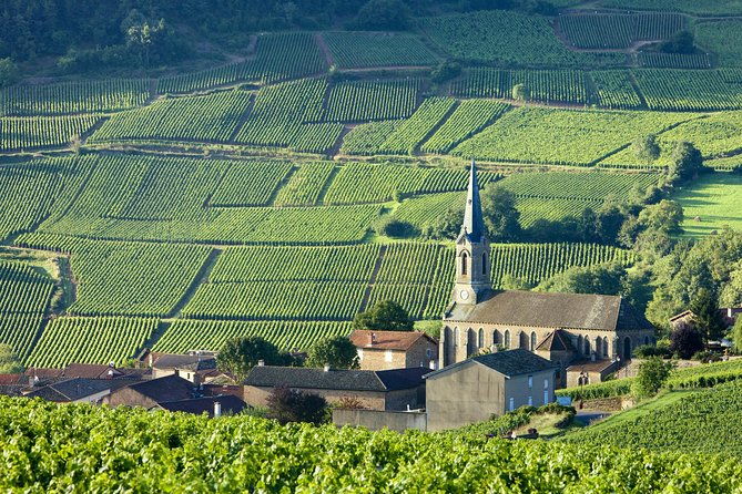burgundy-wine-tasting-small-group-tour-in-chablis-from-paris