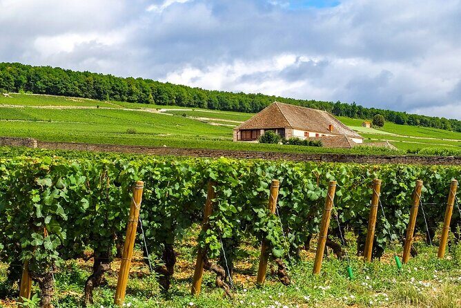 Burgundy wine tour - Private tour with professional tour guide ! - Beaune and Its Underground Cellars