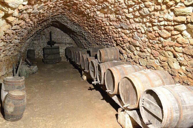 Burgundy wine tour - Private tour with professional tour guide ! - The Logistics: Duration, Comfort, and Flexibility