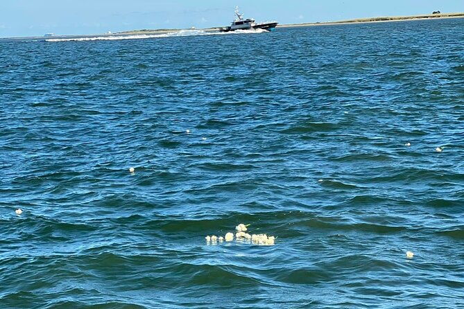 burial-at-sea-celebration-of-life-charter