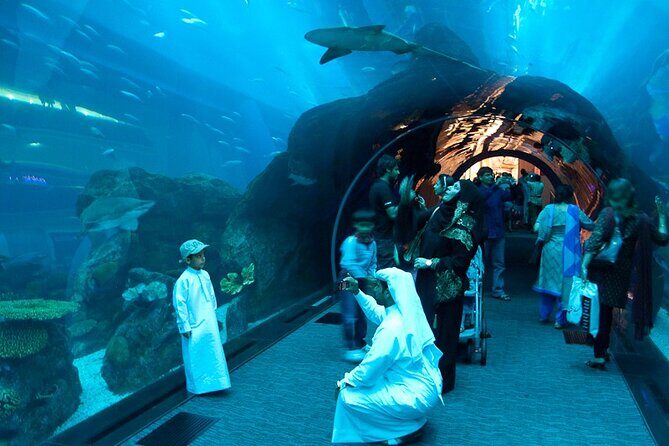 Burj Khalifa and Dubai Aquarium with Penguin Cove Combo - Overview of the Experience