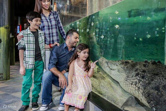 Burj Khalifa and Dubai Aquarium with Penguin Cove Combo - Dubai Aquarium & Underwater Zoo: Marine Life Close-up