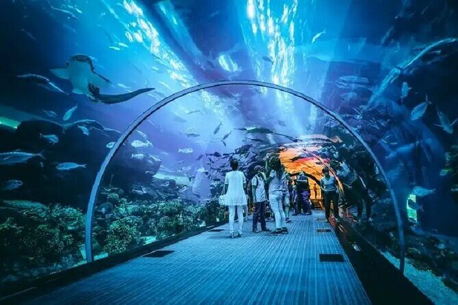 Burj Khalifa and Dubai Aquarium with Penguin Cove Combo - What Reviewers Say