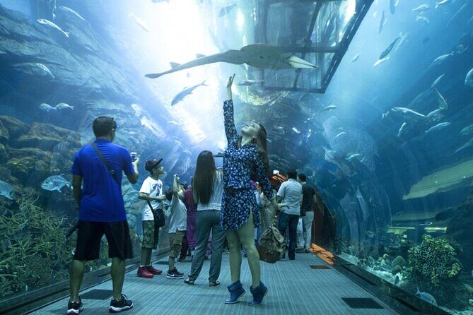 Burj Khalifa and Dubai Aquarium with Penguin Cove Combo - The Sum Up
