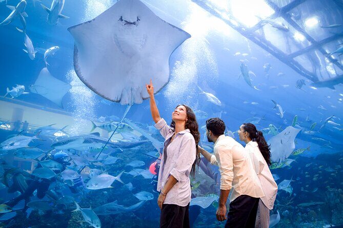 Burj Khalifa At the Top & Dubai Aquarium Combo Entrance Tickets - Who Should Consider This Tour?