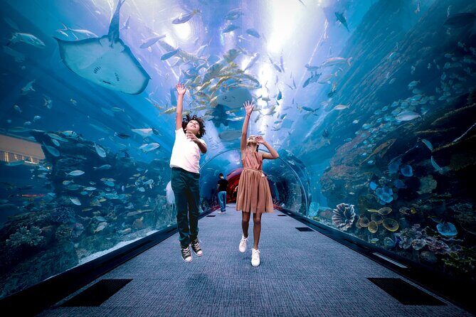 Burj Khalifa At the Top & Dubai Aquarium Combo Entrance Tickets - Final Thoughts
