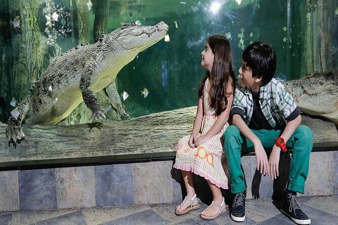 Burj Khalifa At The Top & Underwater Zoo Aquarium with Transfer - The Sum Up