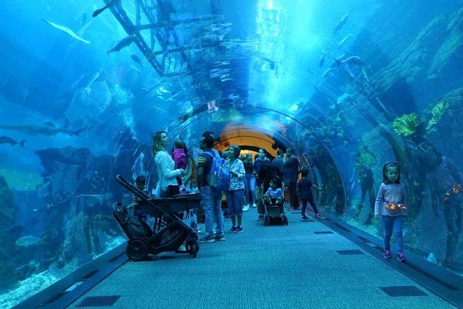 Burj Khalifa, Dubai Aquarium & UWZ with Penguin Cove Entry Ticket - Frequently Asked Questions