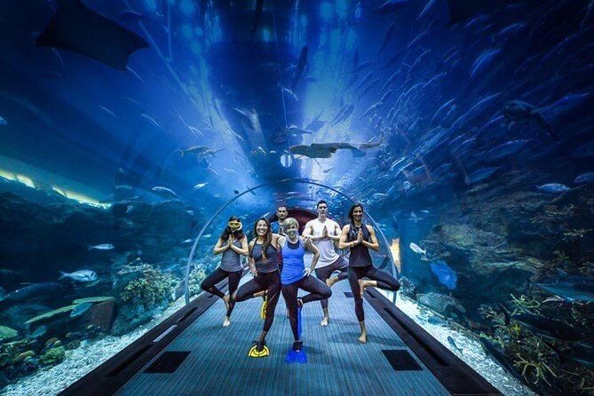 Burj Khalifa, Dubai Aquarium & UWZ with Penguin Cove Tickets - Review Insights & Real Traveler Experiences
