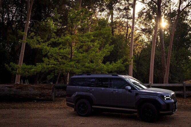 Burra Township to Mount Bryan History and Landscape Day Tour - A Deep Dive into the Experience