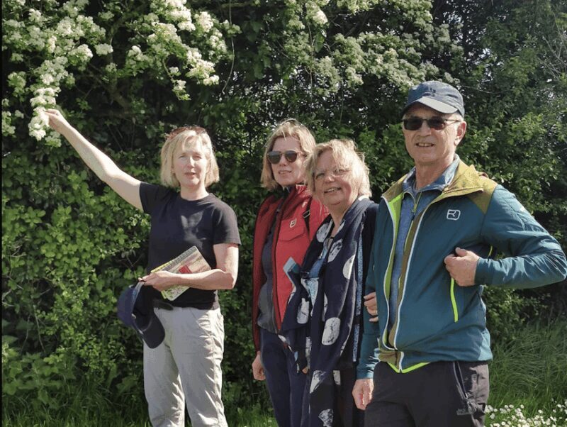 Burren Botany Experience - FAQ