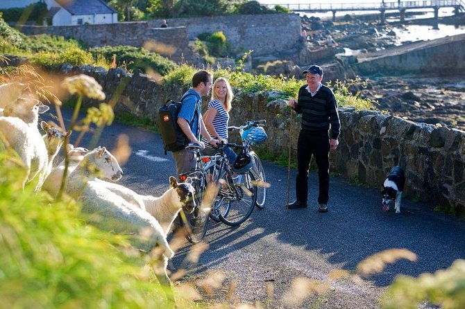 burren-private-guided-e-bike-tour-with-visit-to-poulnabrone-tomb