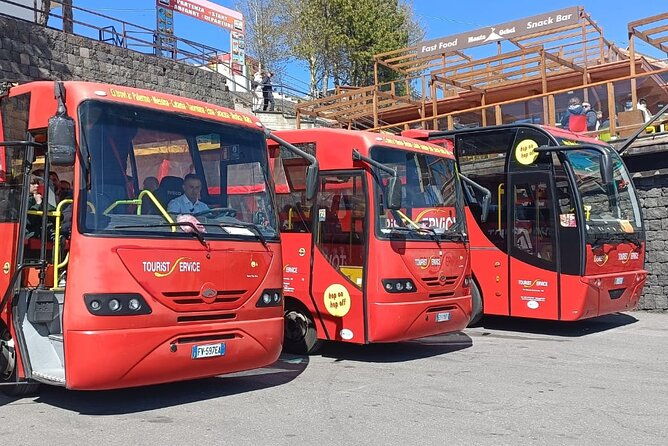 bus-etna-experience-of-italy
