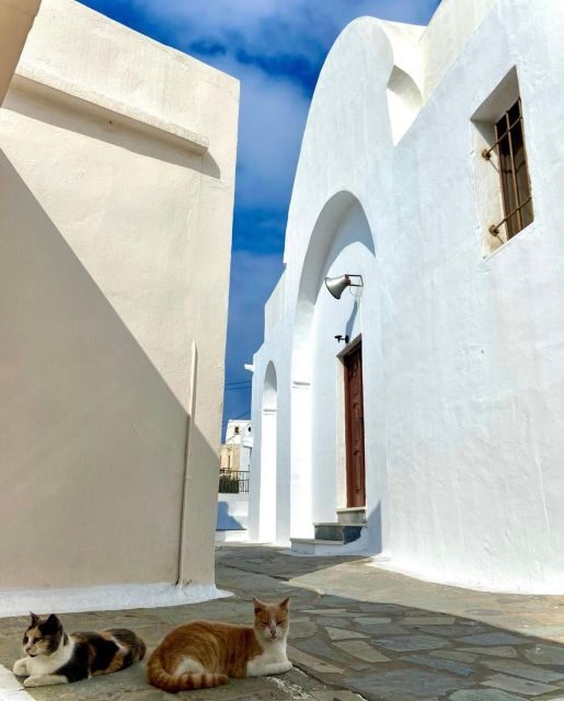 Bus Tour Around the island of Naxos - Key Points