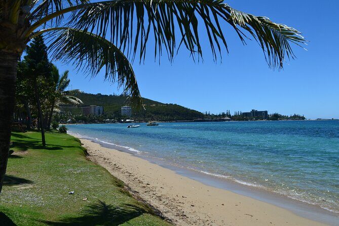 Bus Tour to Multiple Stops EN in Nouméa - Final Thoughts