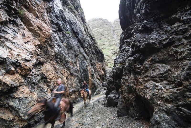 Bus tour to visit Gobi 4 day - Authentic Experiences You’ll Love