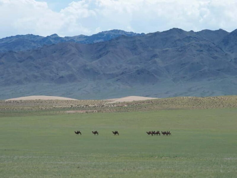 Bus tour to visit Gobi 4 day - Practical Considerations and Tips