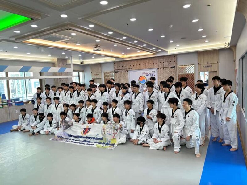 Busan: 1 Hour Taekwondo Experience with Master - Key Points