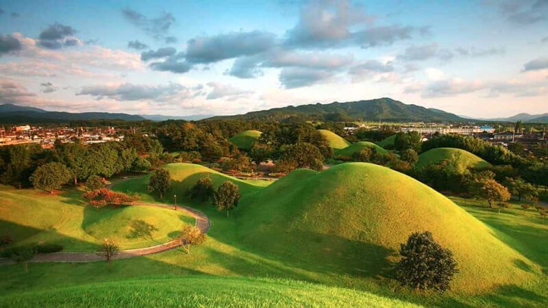 Busan: 7 Highlights Gyeongju City One Day Tour - The Comfort and Logistics of the Tour