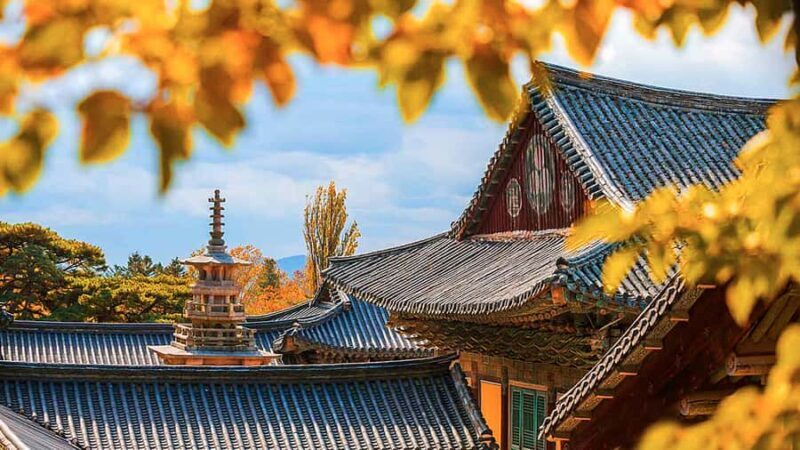 Busan: 7 Highlights Gyeongju City One Day Tour - FAQ