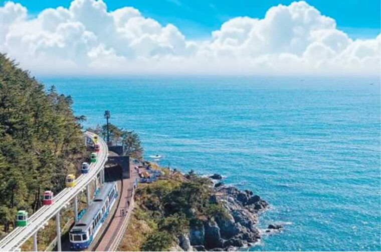 busan-a-well-rounded-small-group-tour-with-certified-guide
