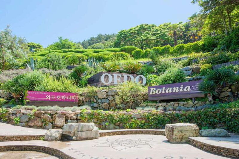 busan-a1-hidden-gem-geoje-oedo-botania-island-cable-car