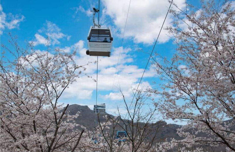 busan-a1-hidden-gem-geoje-oedo-botania-island-cable-car